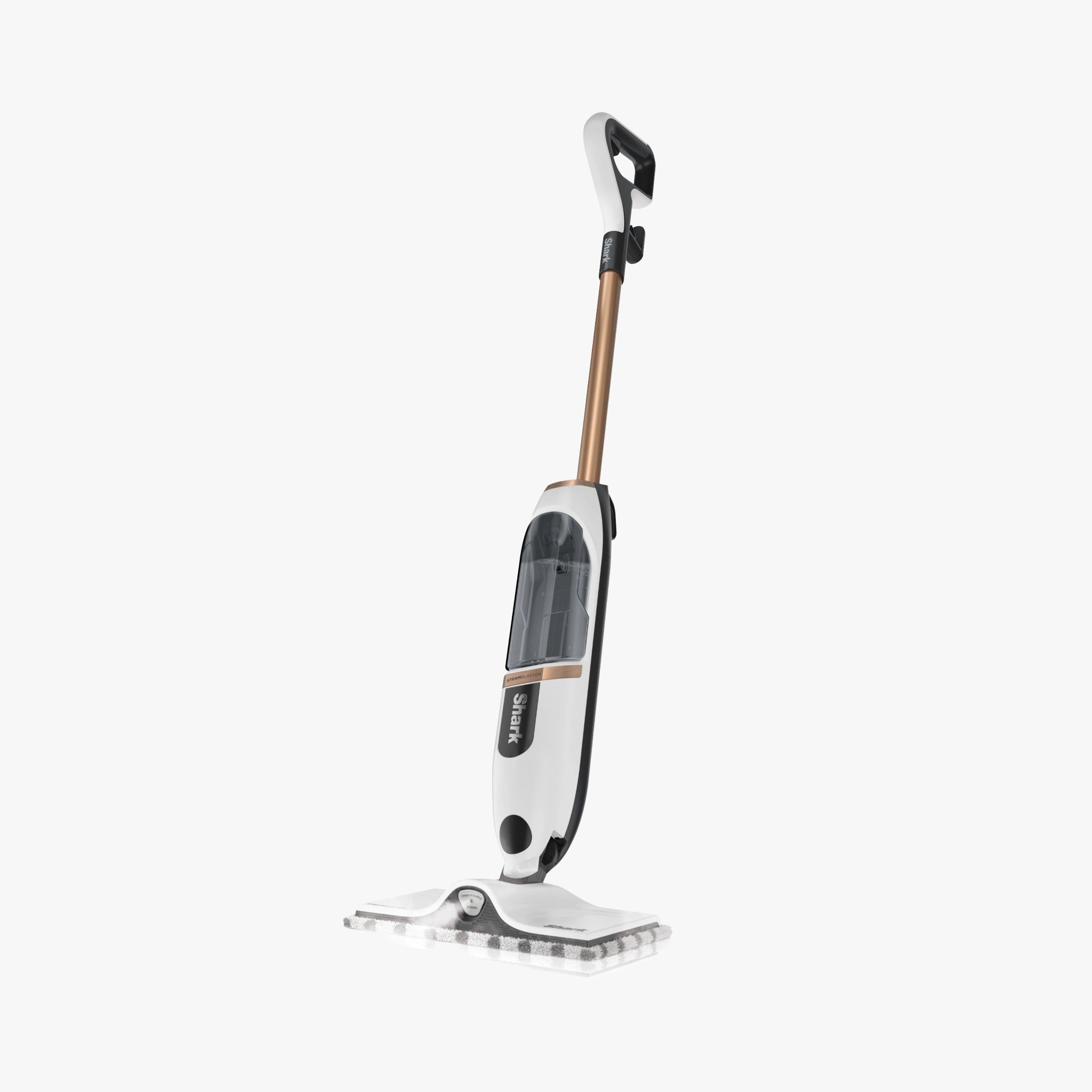 Steam Cleaners