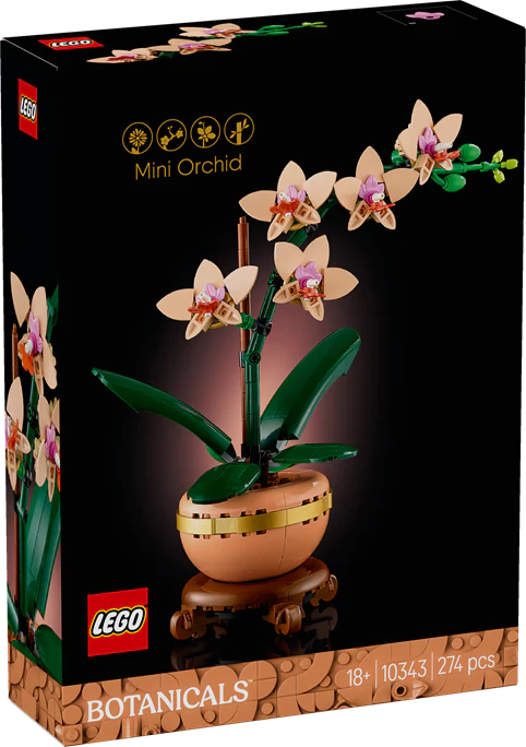 Botanicals: Mini Orchid