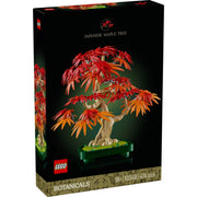 Botanicals: Japanese Red Maple Bonsai Tree