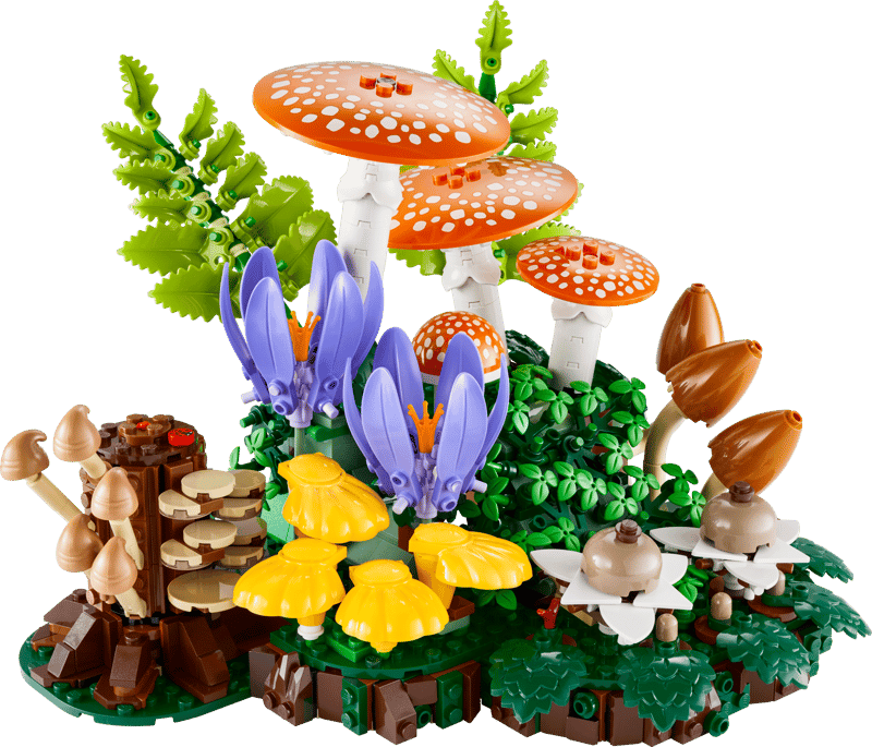 Botanicals: Woodland Mushrooms
