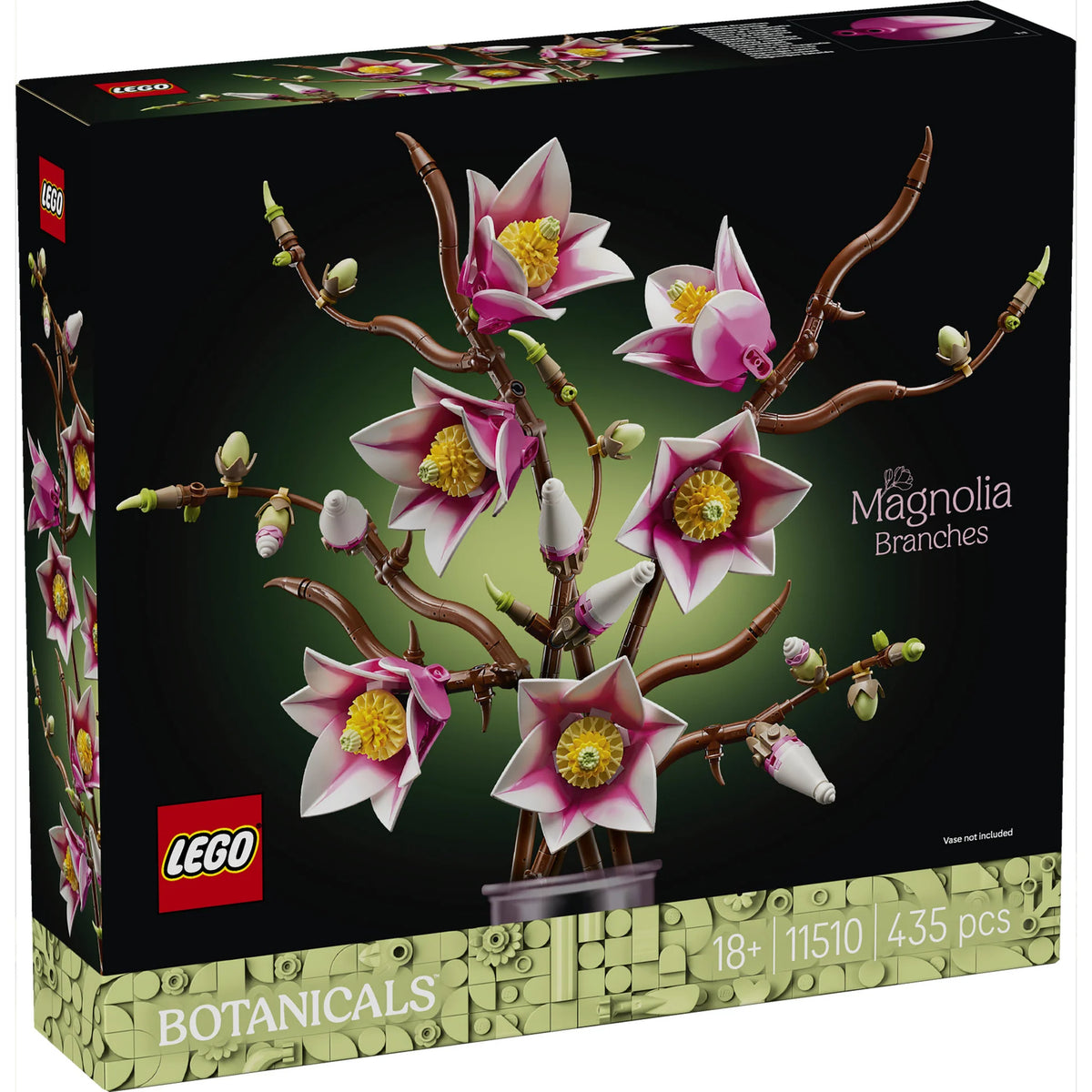 Botanicals: Magnolia Branches