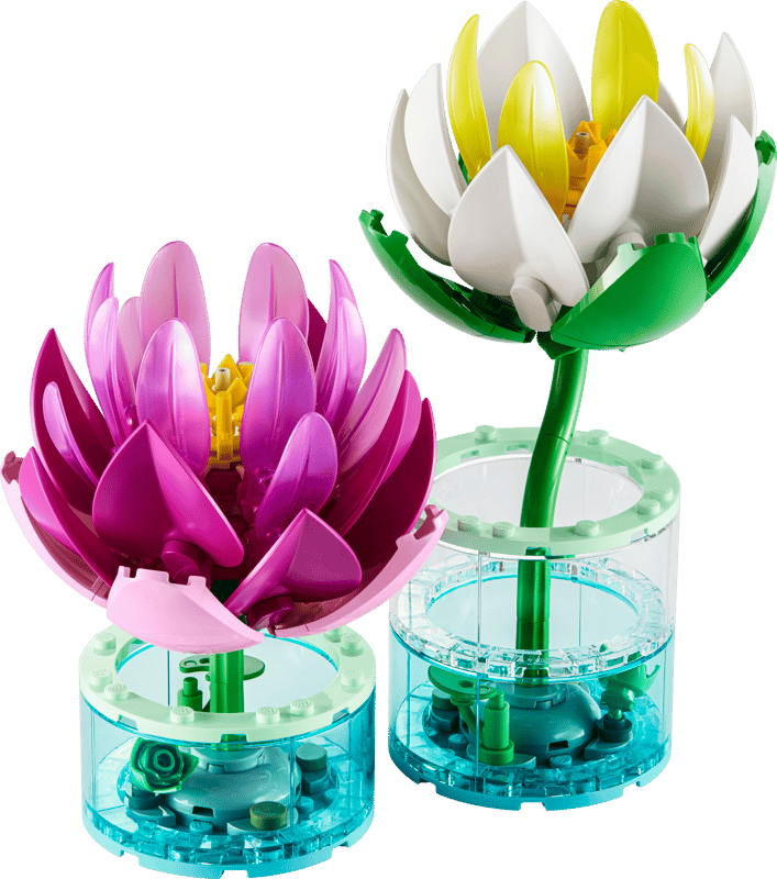 Botanicals: Water Lilies