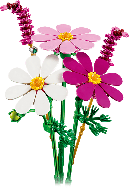 Botanicals: Cosmos Flowers