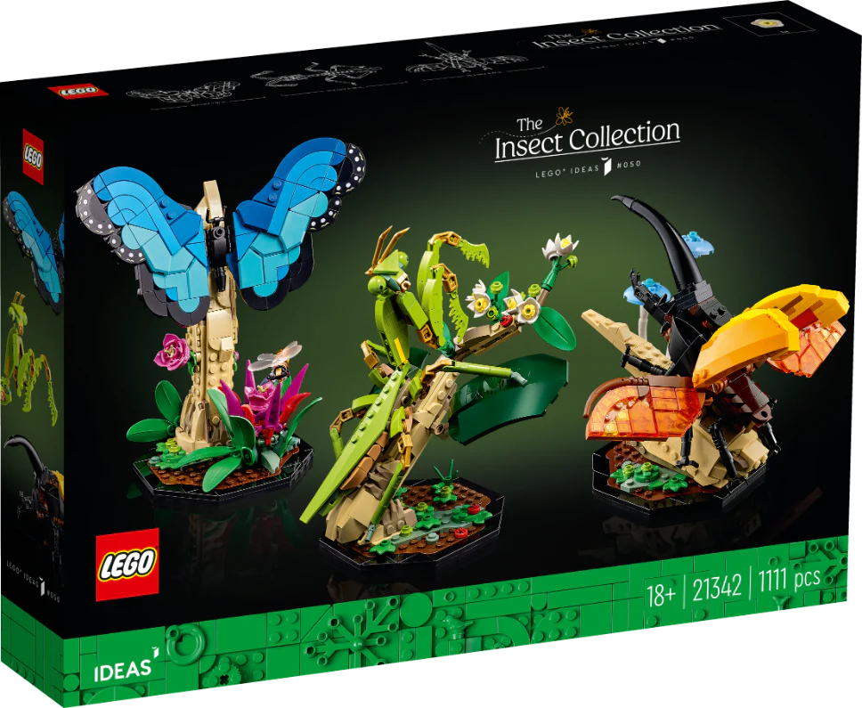 Ideas: The Insect Collection