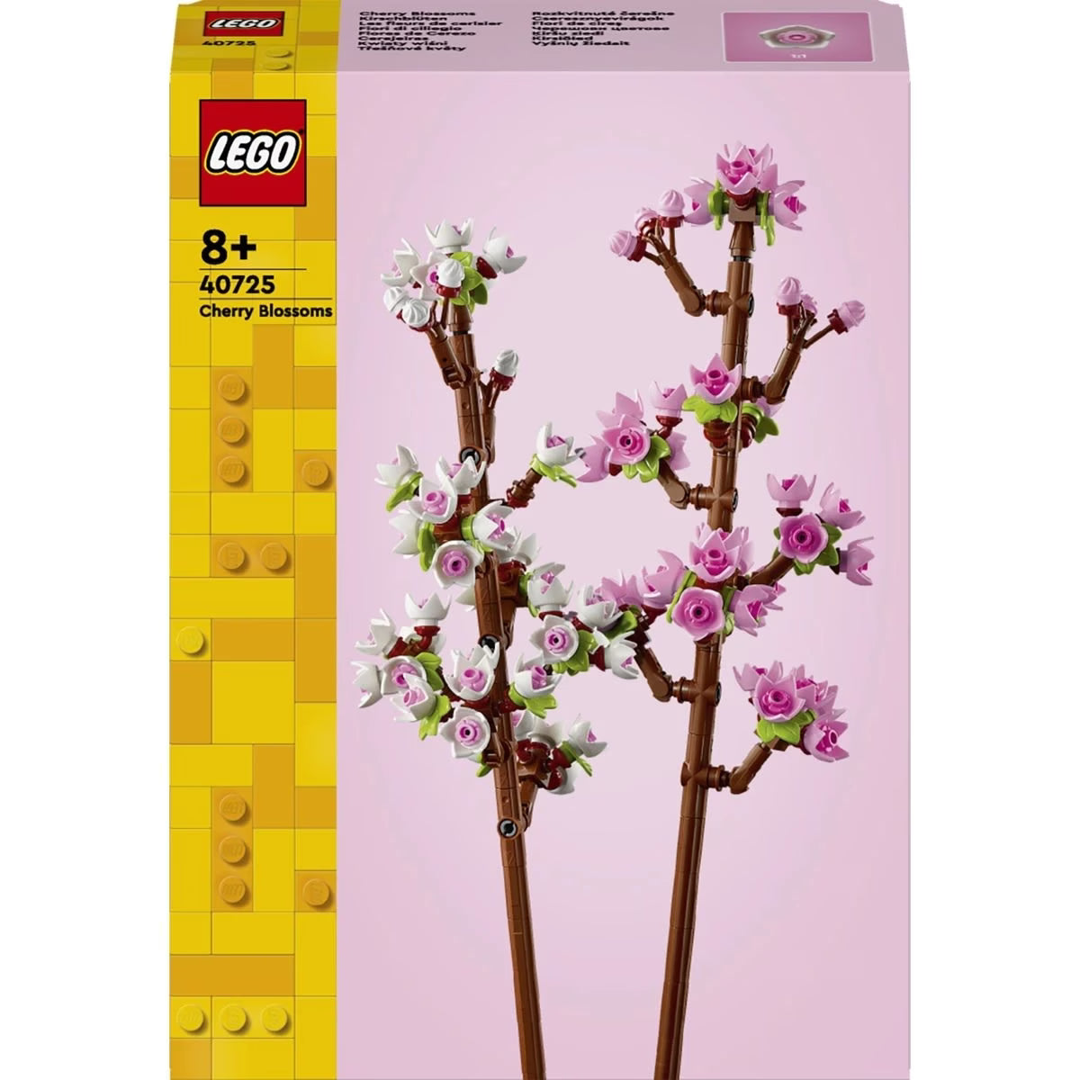 Cherry Blossoms