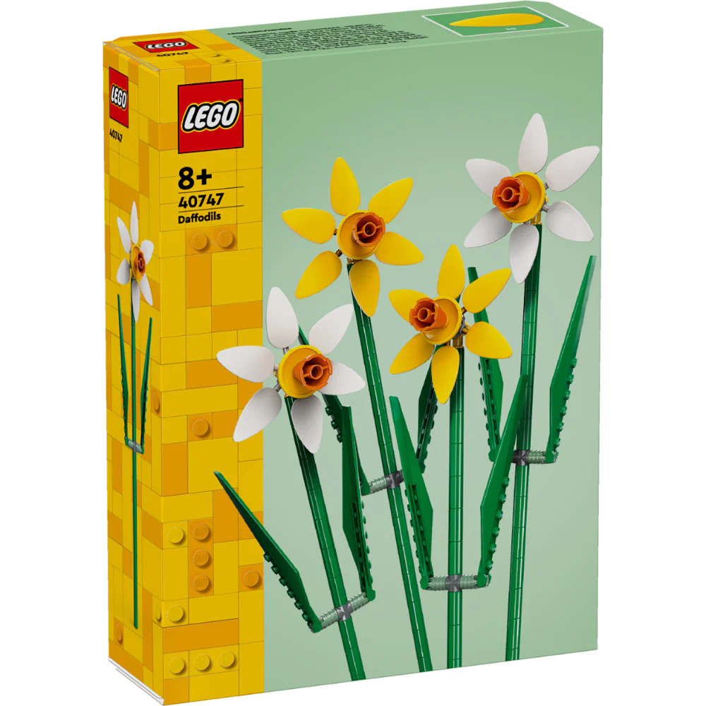 Daffodils