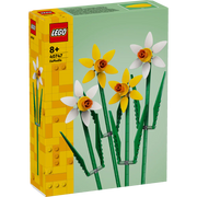 Daffodils