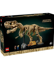 Dinosaur Fossils: T. rex