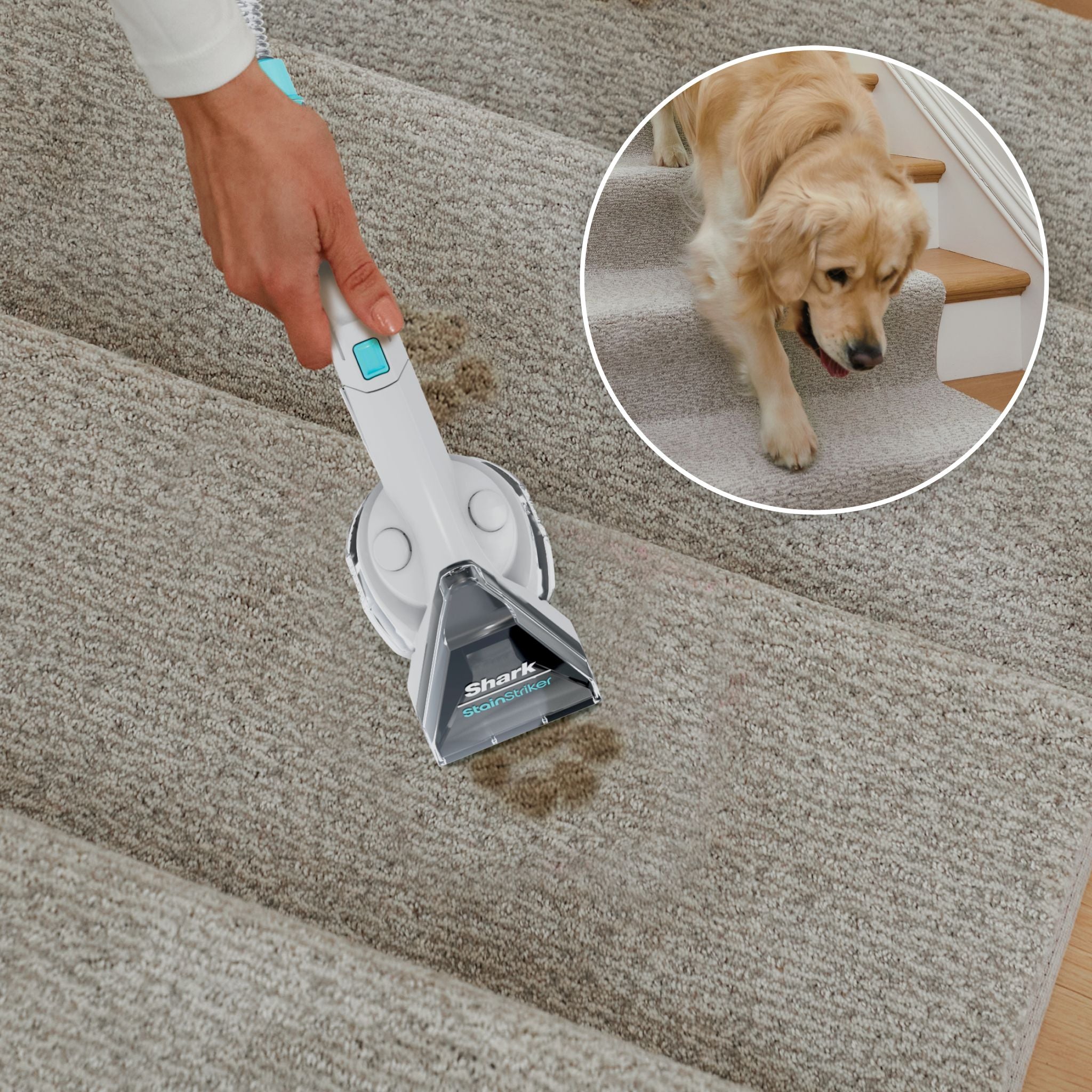 Shark CarpetXpert Deep Clean Pro Formula, 1.4L