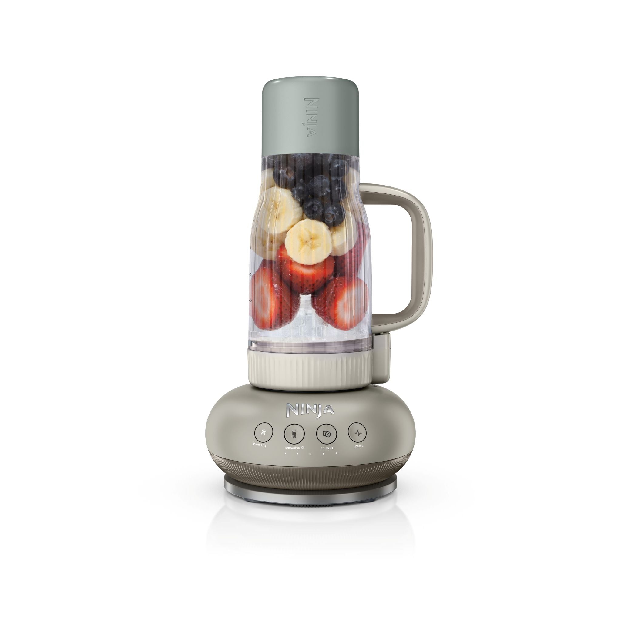 BlendBOSS™ Tumbler Blender (Stone Mint)